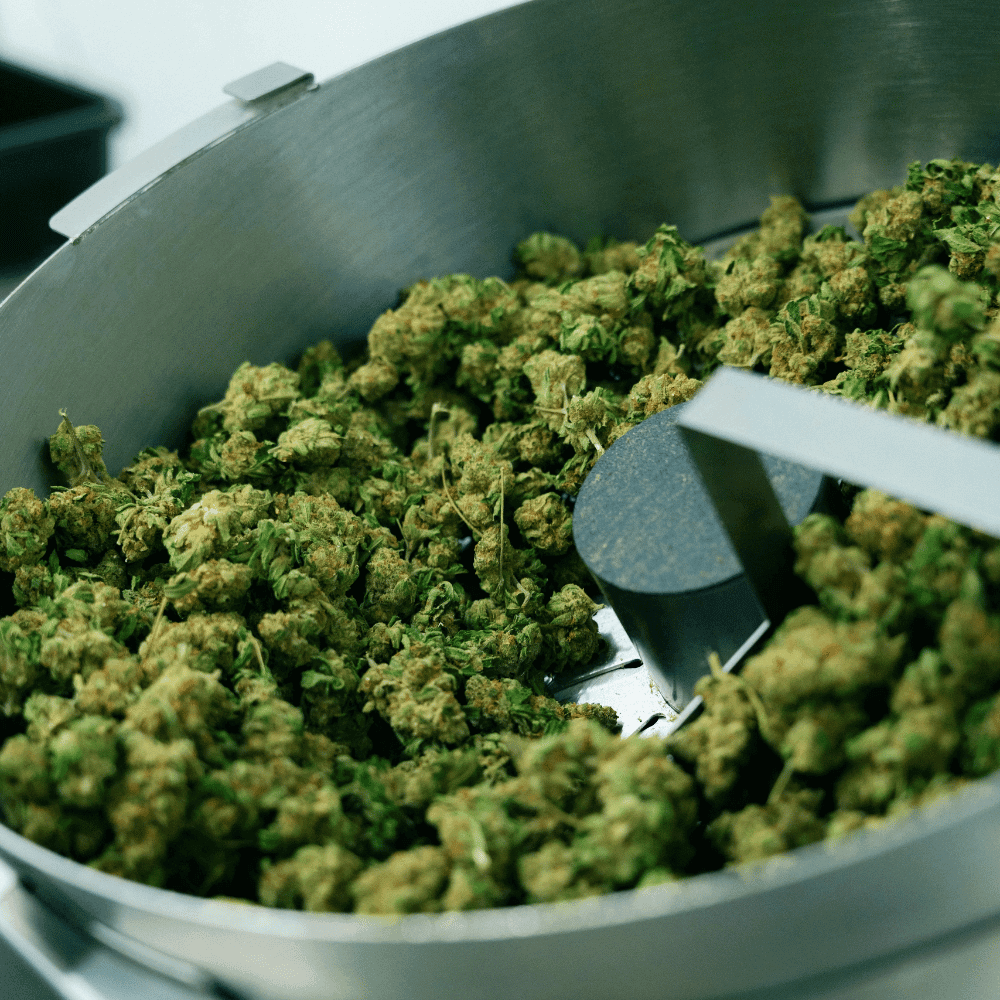 Single Pre-Roll vs Pre-Roll Pack: When to Buy Each